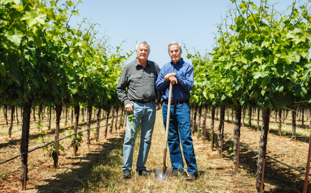 Lange brothers in vineyard