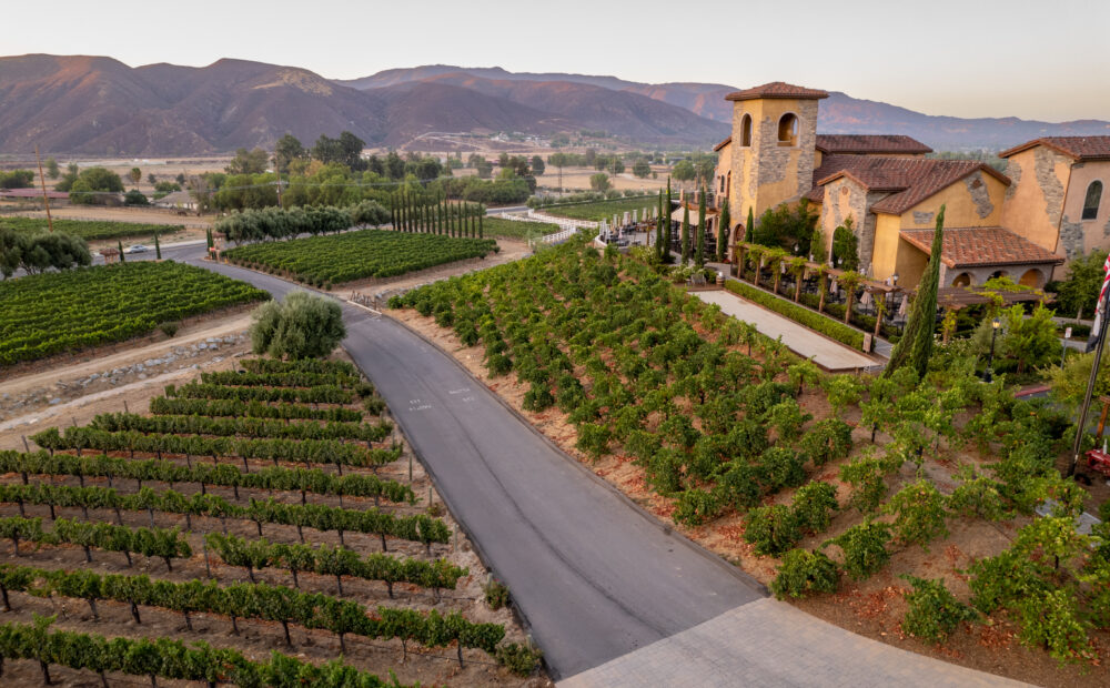 Aerial view of vineyard