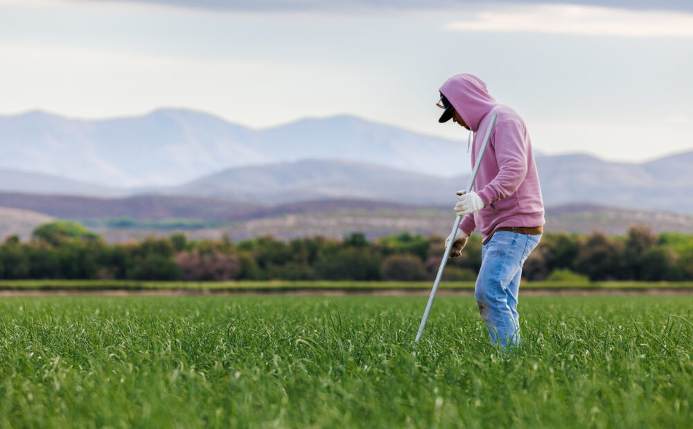 Gillis Farmers Worker in Field