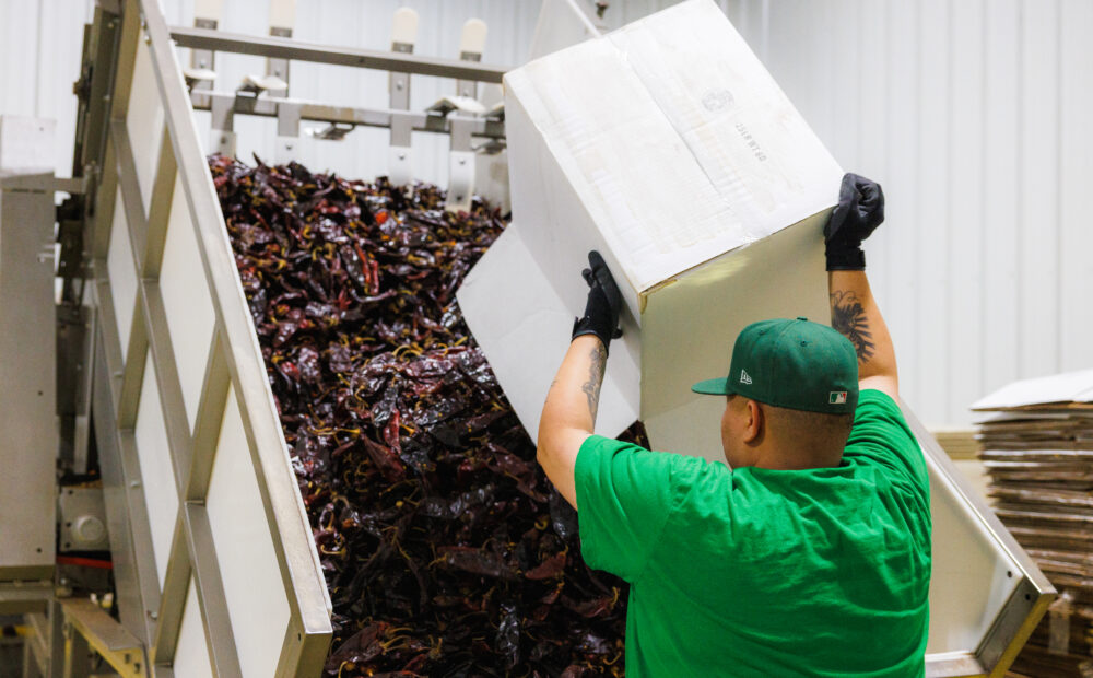 Worker unloading hatch chiles