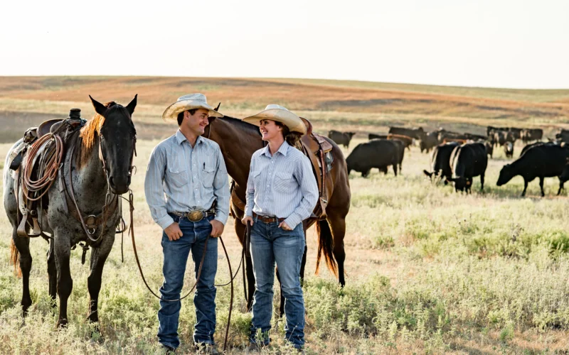 Man and woman with horses and beef herd in pasture
