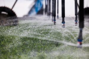 Irrigation pivot in alfalfa field