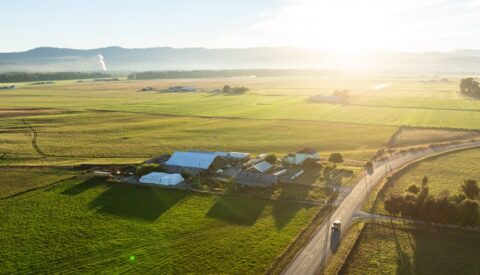 Farmstead surrounded by pasture