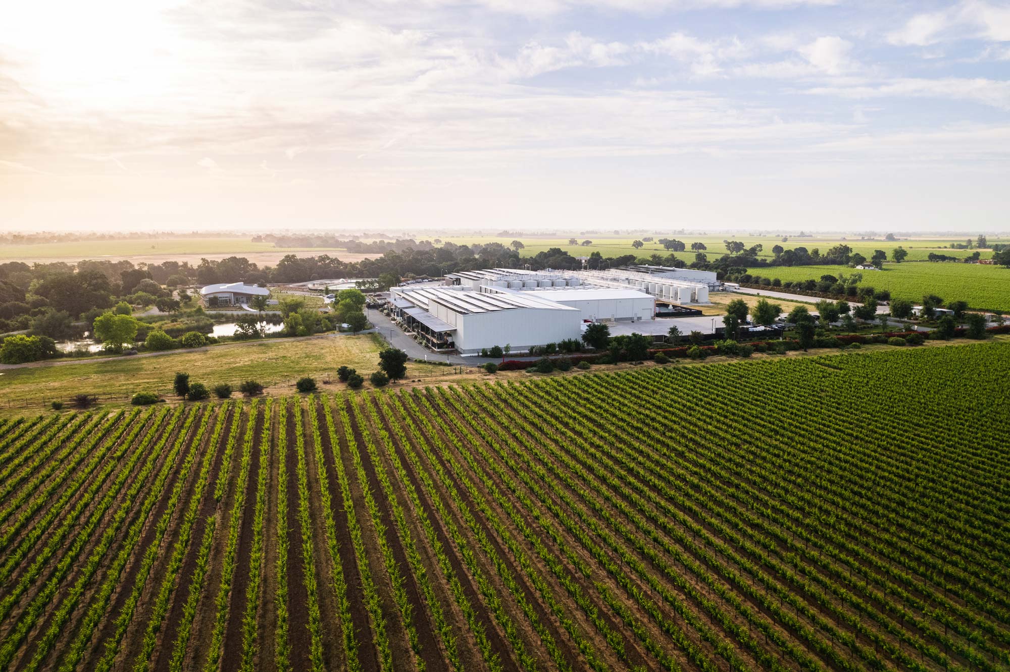 American AgCredit