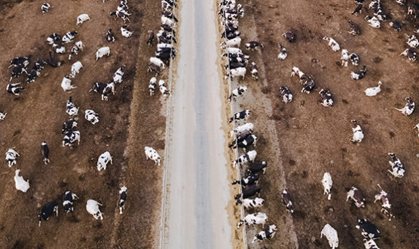 081022 royal farms drone 604x359
