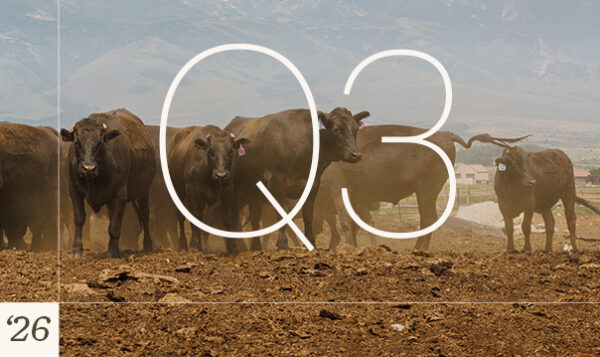 Q3 2026 beef 1