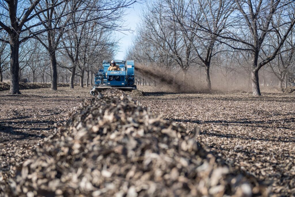 Salopek-Pecan-Farm234