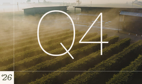 Featured oliveoil q4 2026 1