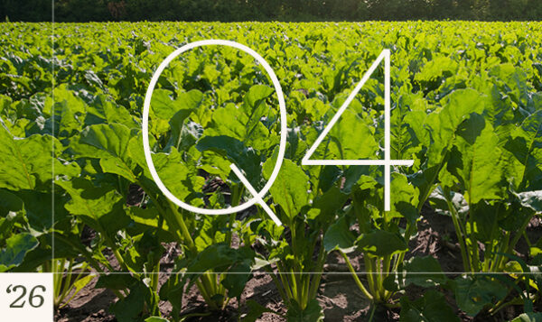 Featured sugarbeets q4 2026 1