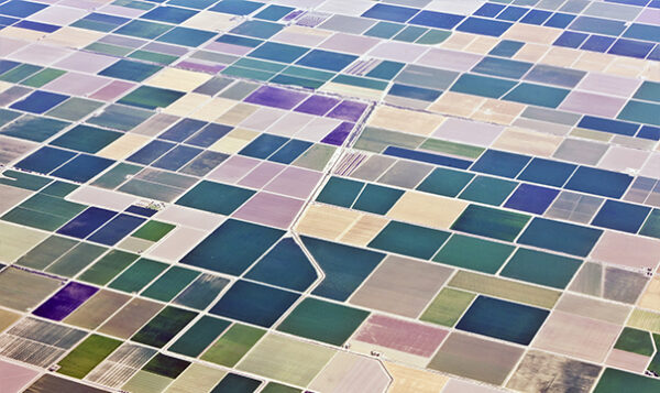 Aerial view of farmland with different colored fie 2026 1